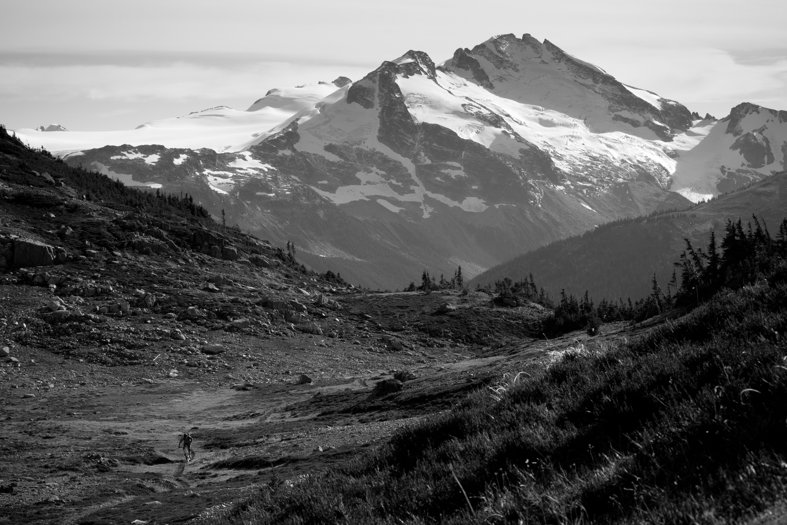 Solitary rider in a wide alpine basin, glaciated peaks in the distance
