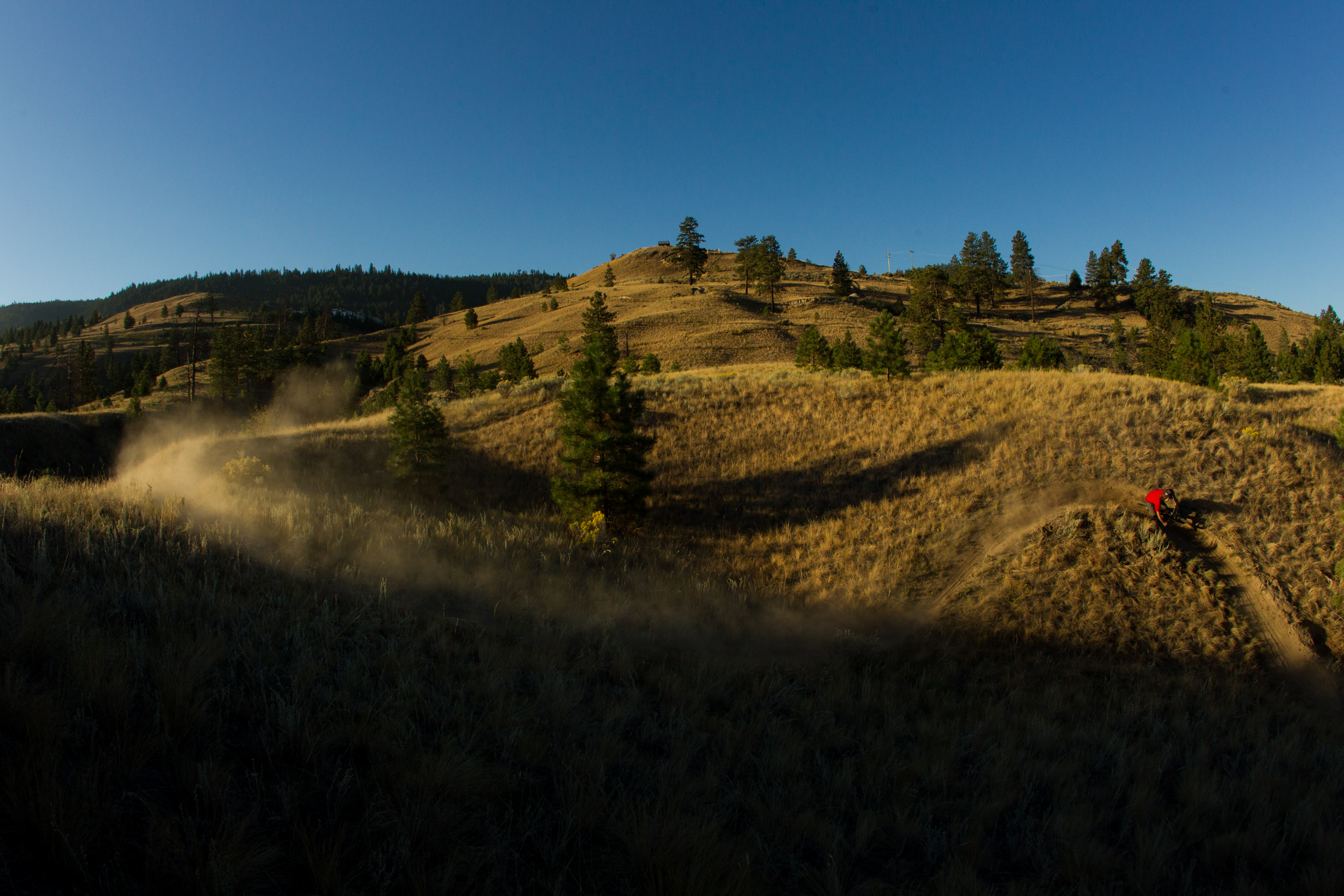 Trail-side rider in motion, dust trailing across a sun-washed hillside